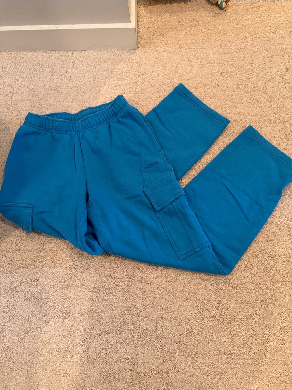 Aritzia sweatfleece Teal Blue Cargo Sweatpants